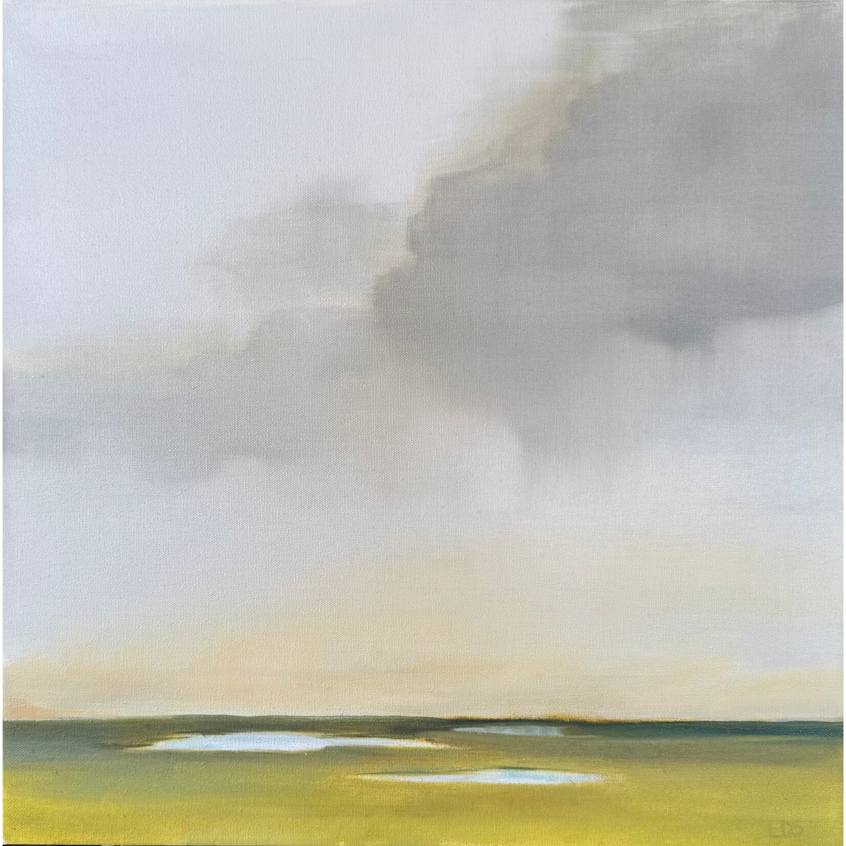 Marsh Light I