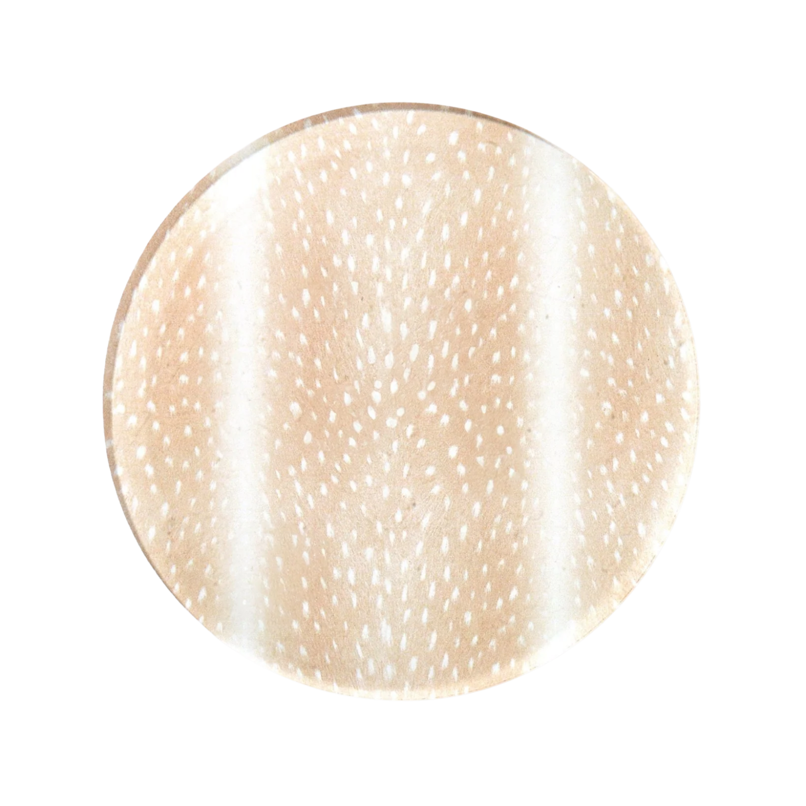 Tart by Taylor Coasters Set of 4
