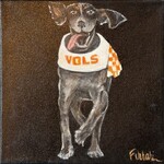 Tennessee Vols Coonhound