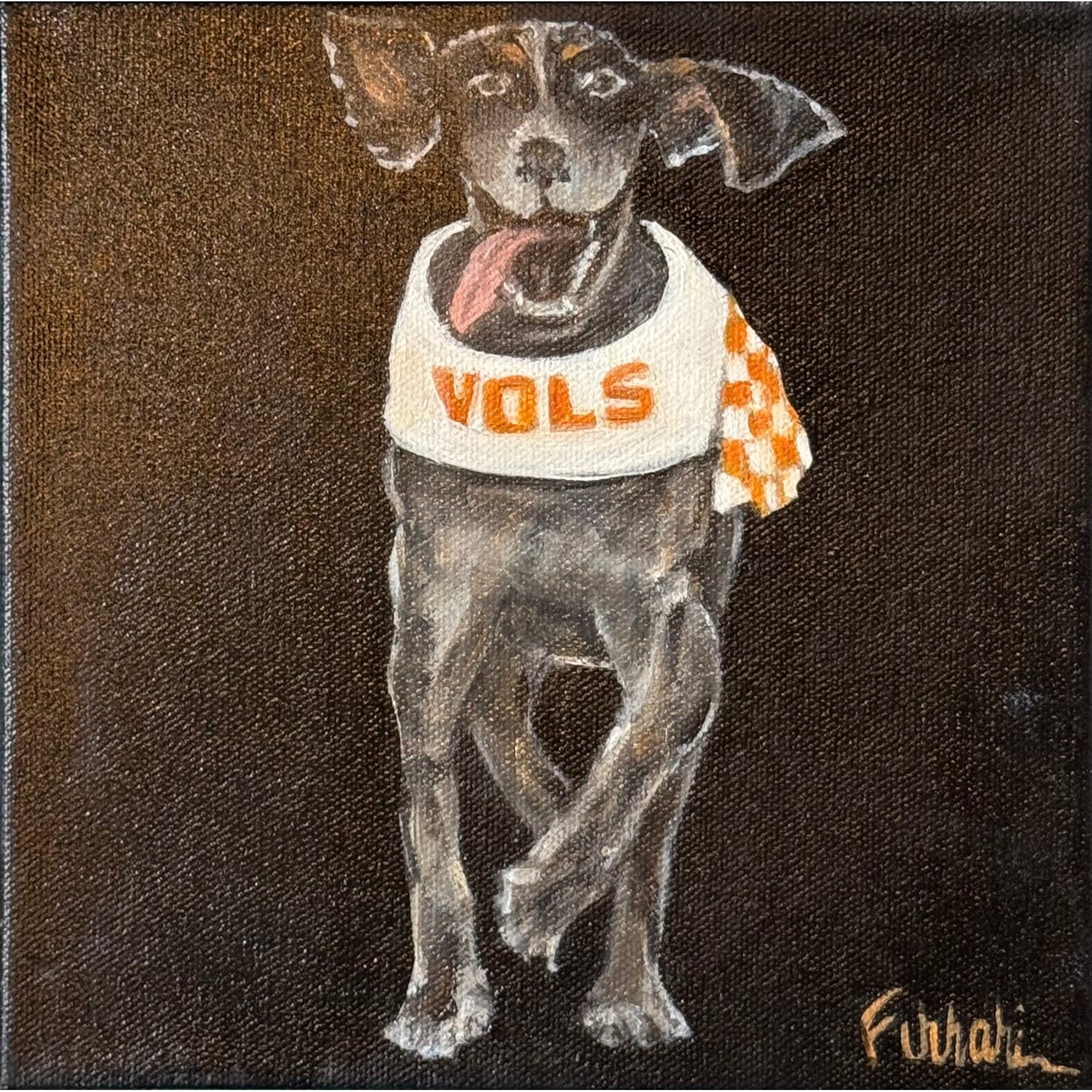 Tennessee Vols Coonhound