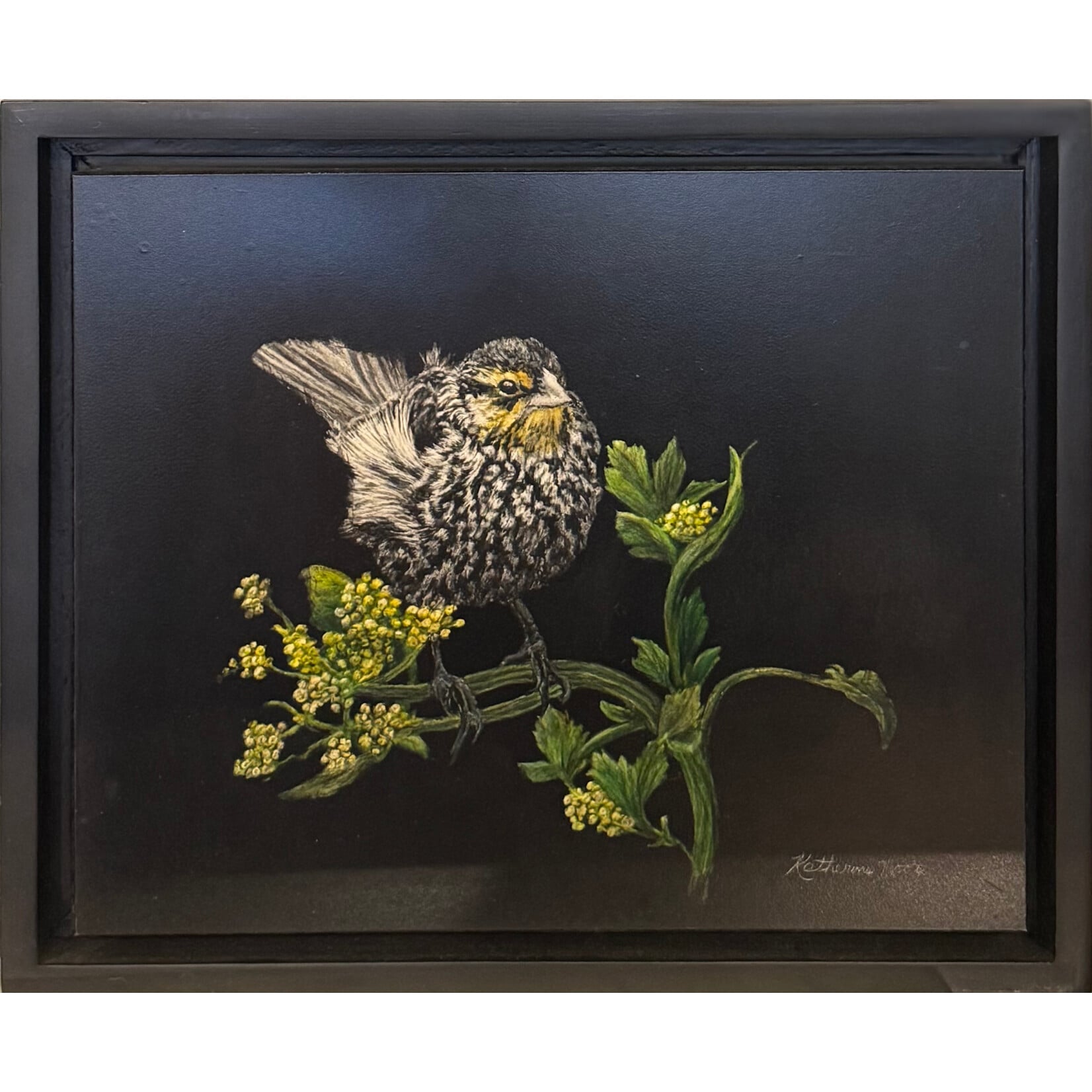 Katherine Moore A Bird in the Bush