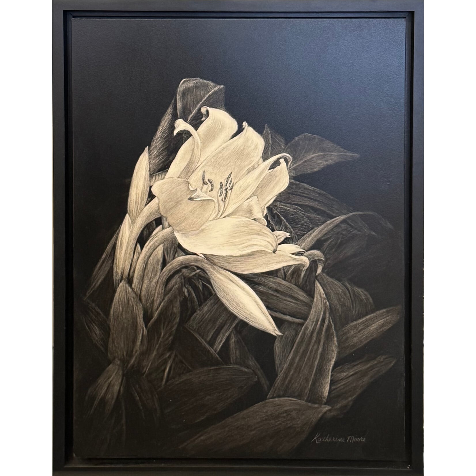 Katherine Moore White Lily