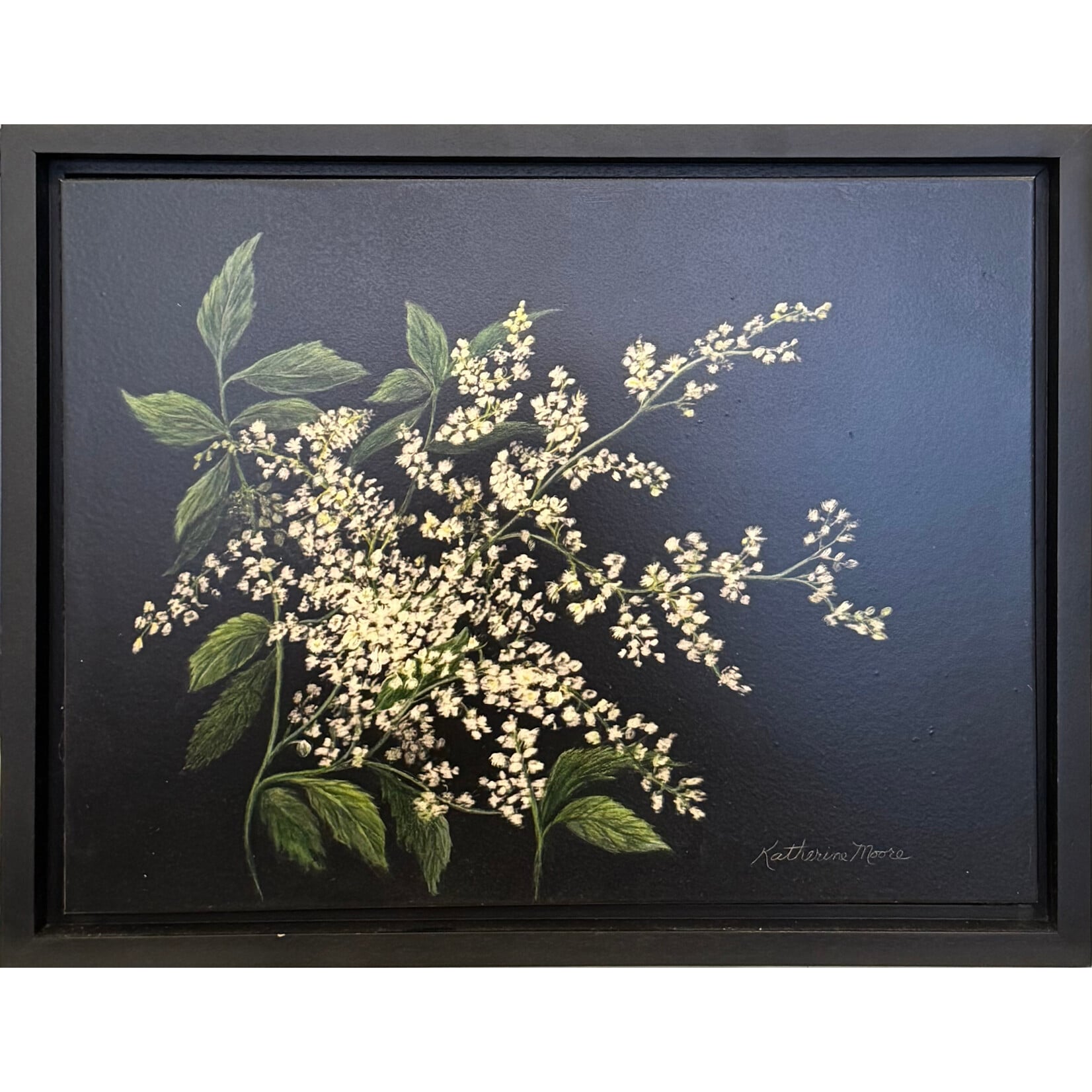 Katherine Moore While Astilbe