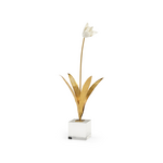 Tulip in Stand