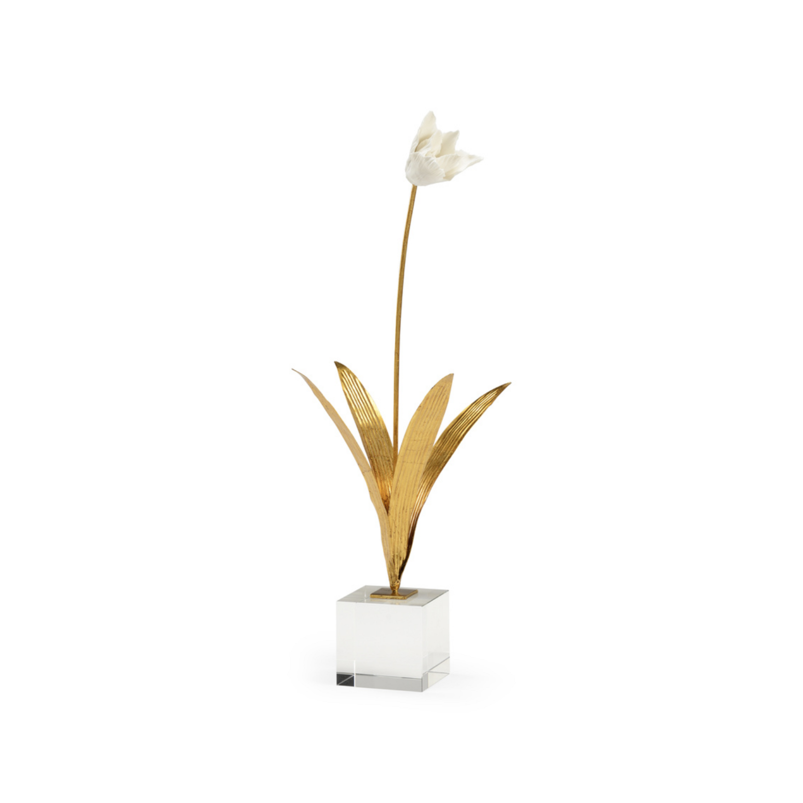 Tulip in Stand
