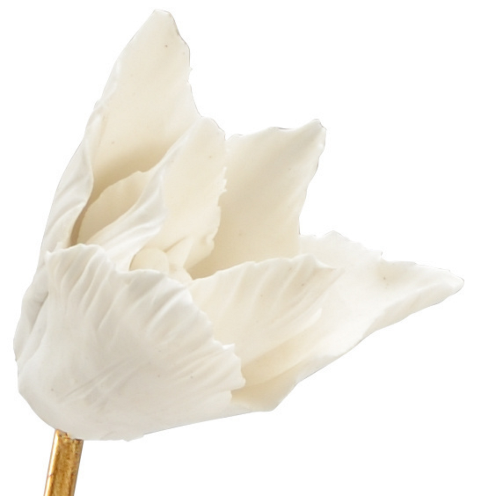 Tulip in Stand
