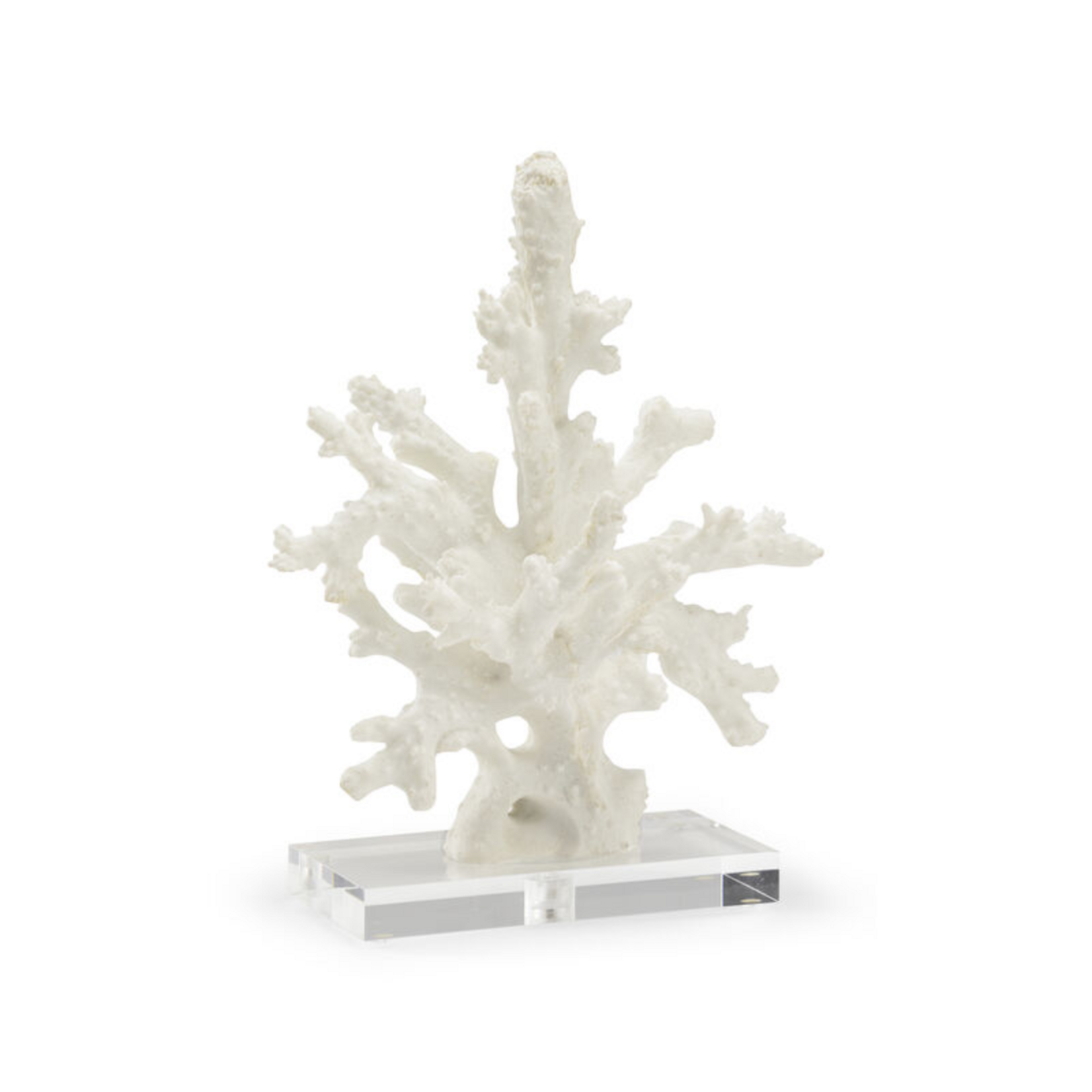 Coral Sculpture