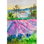 French Lavender