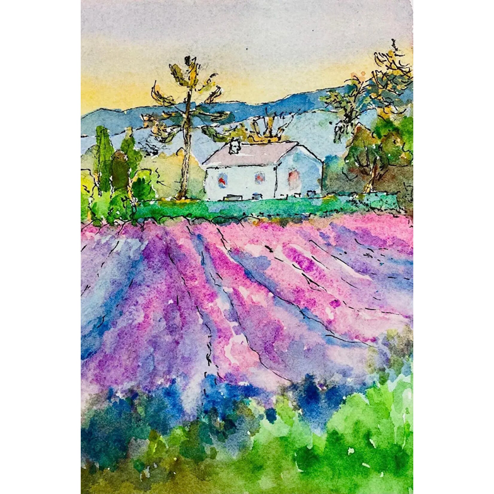 French Lavender