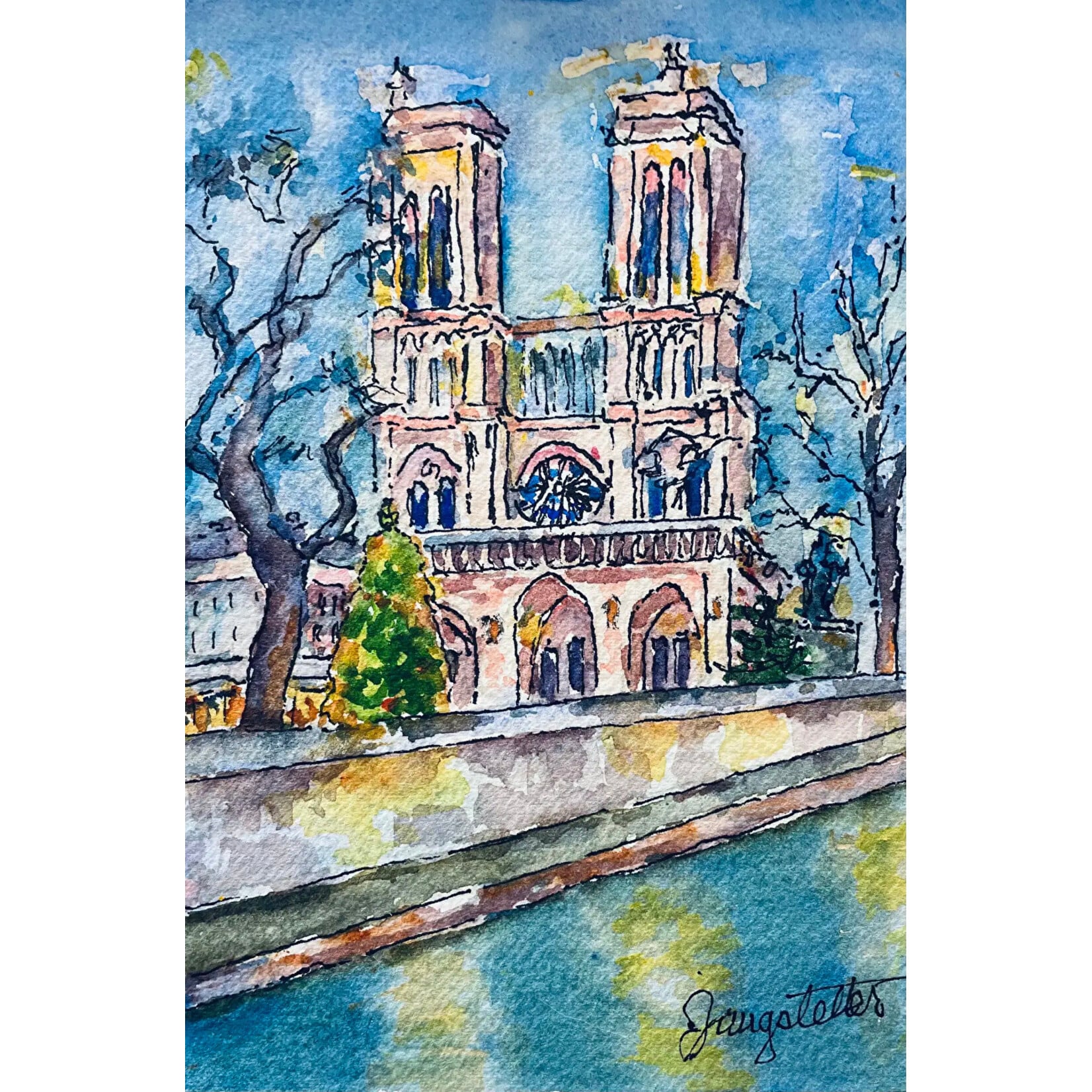 Notre Dame Cathedral at Christmas