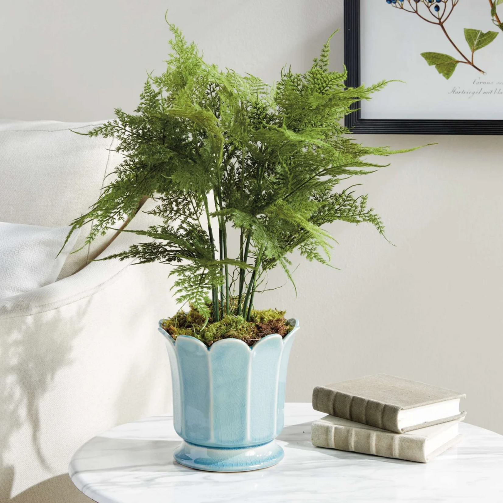 Plumosa Fern Drop-in