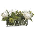 Protea & Eucalyptus in Glass Vase