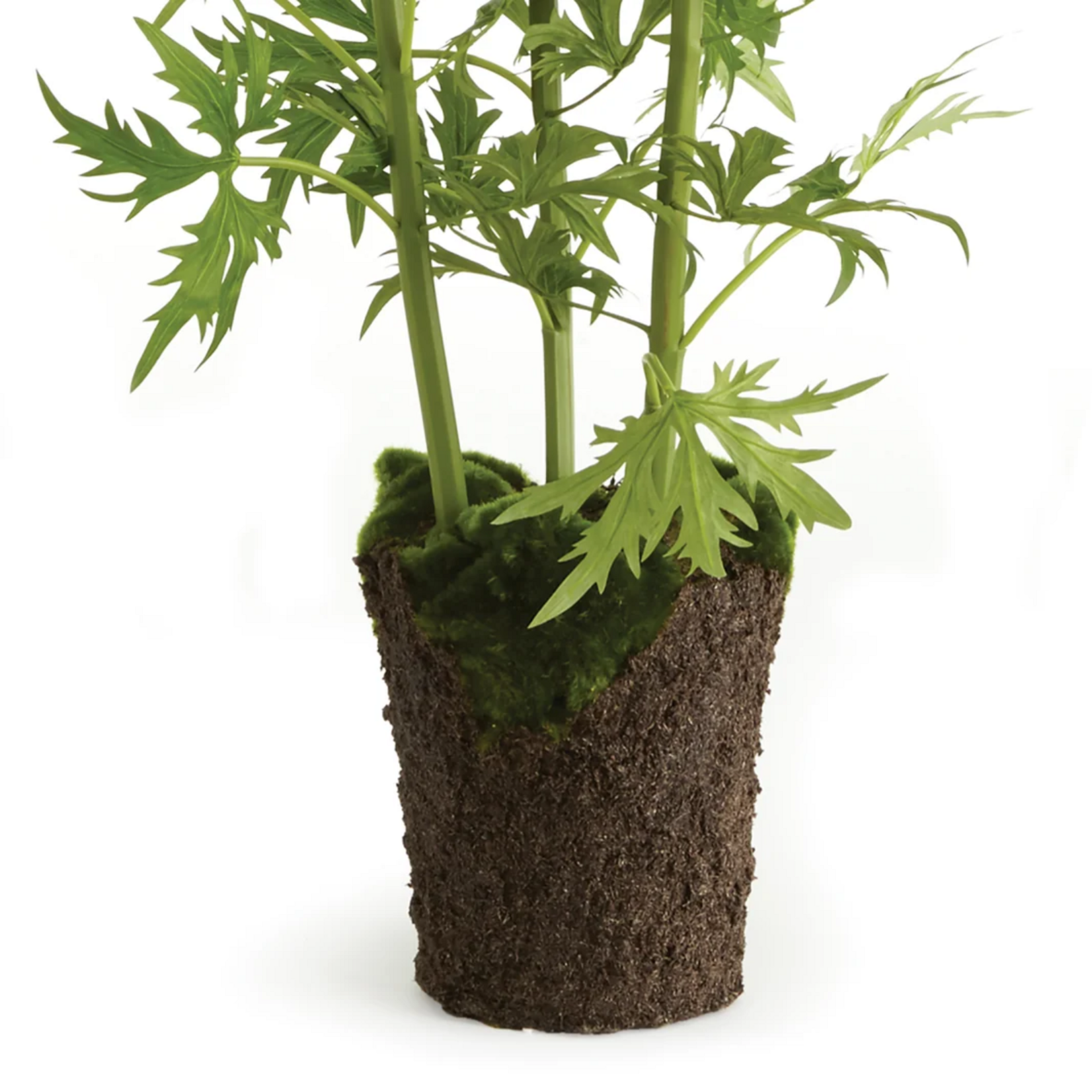 Delphinium Drop-in