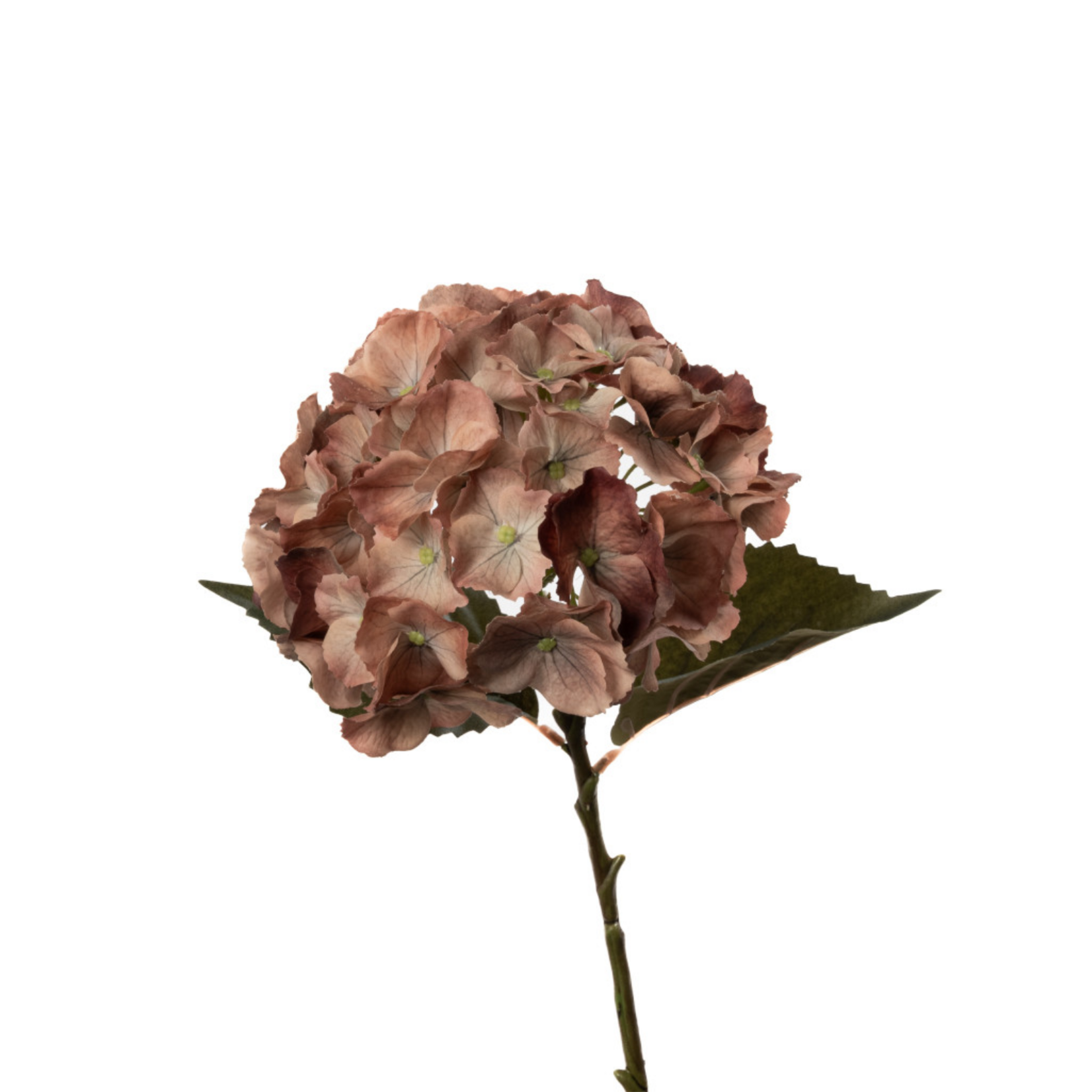 Real Touch Hydrangea - Gold Honey
