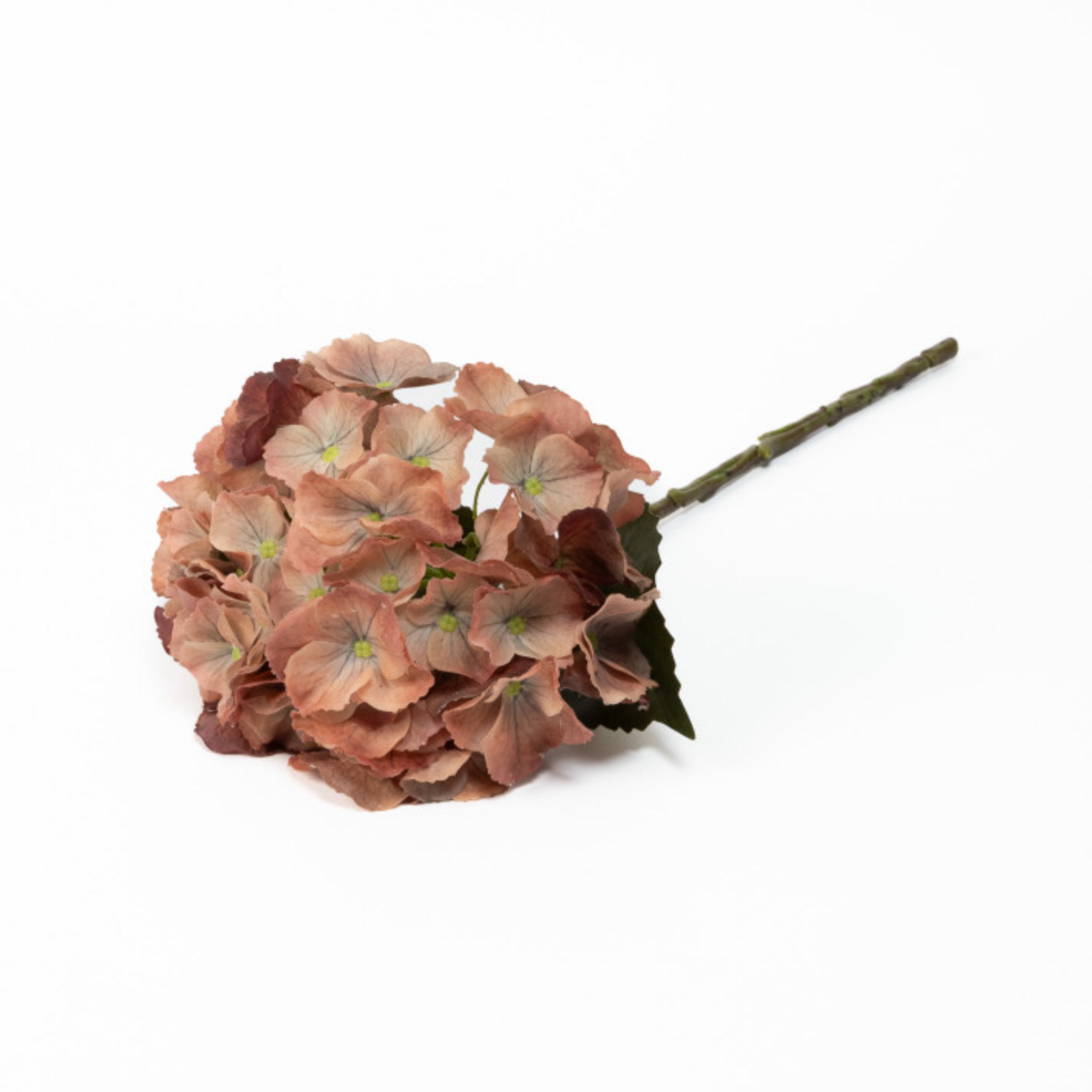 Real Touch Hydrangea - Gold Honey