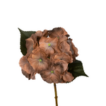 Real Touch Hydrangea - Gold Honey