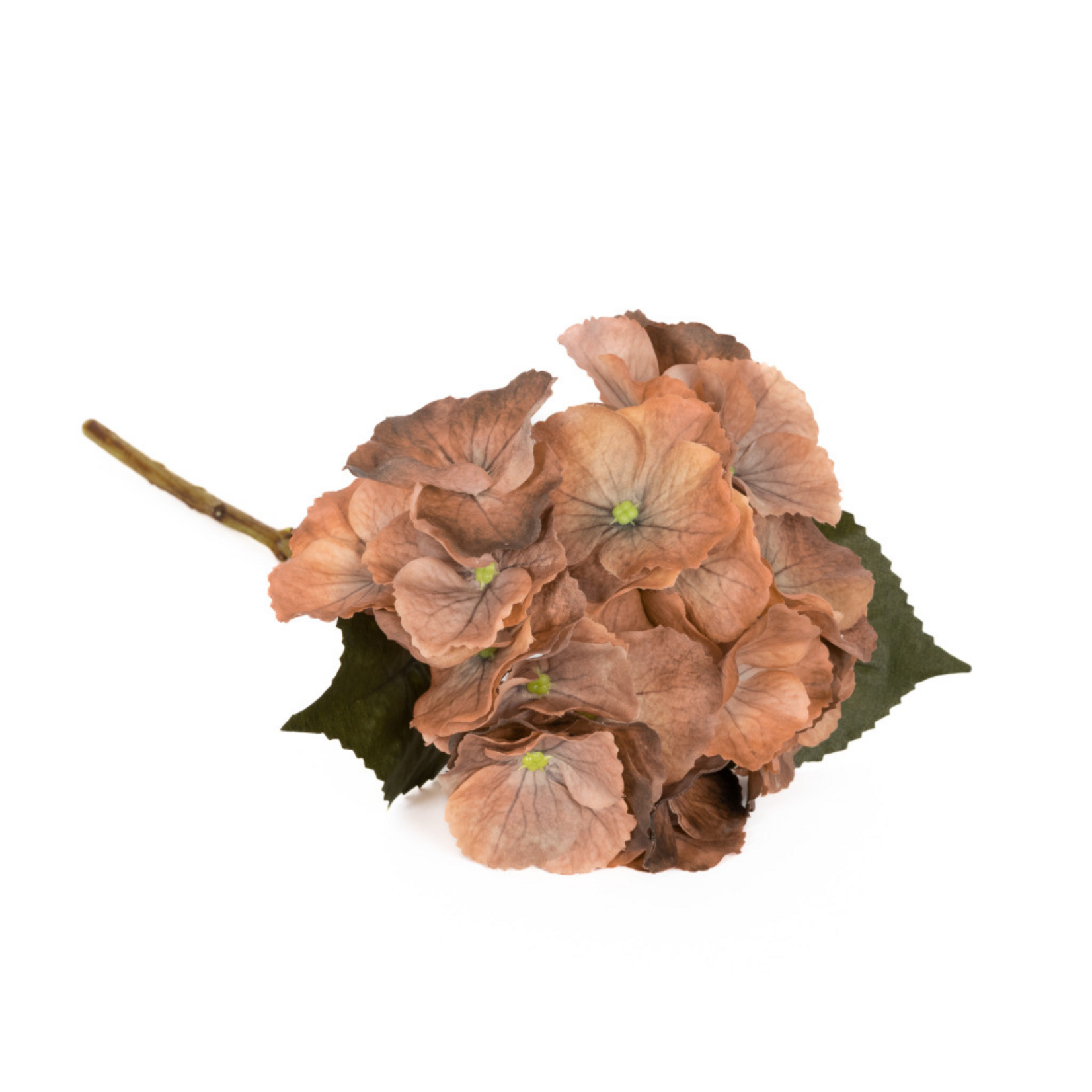 Real Touch Hydrangea - Gold Honey