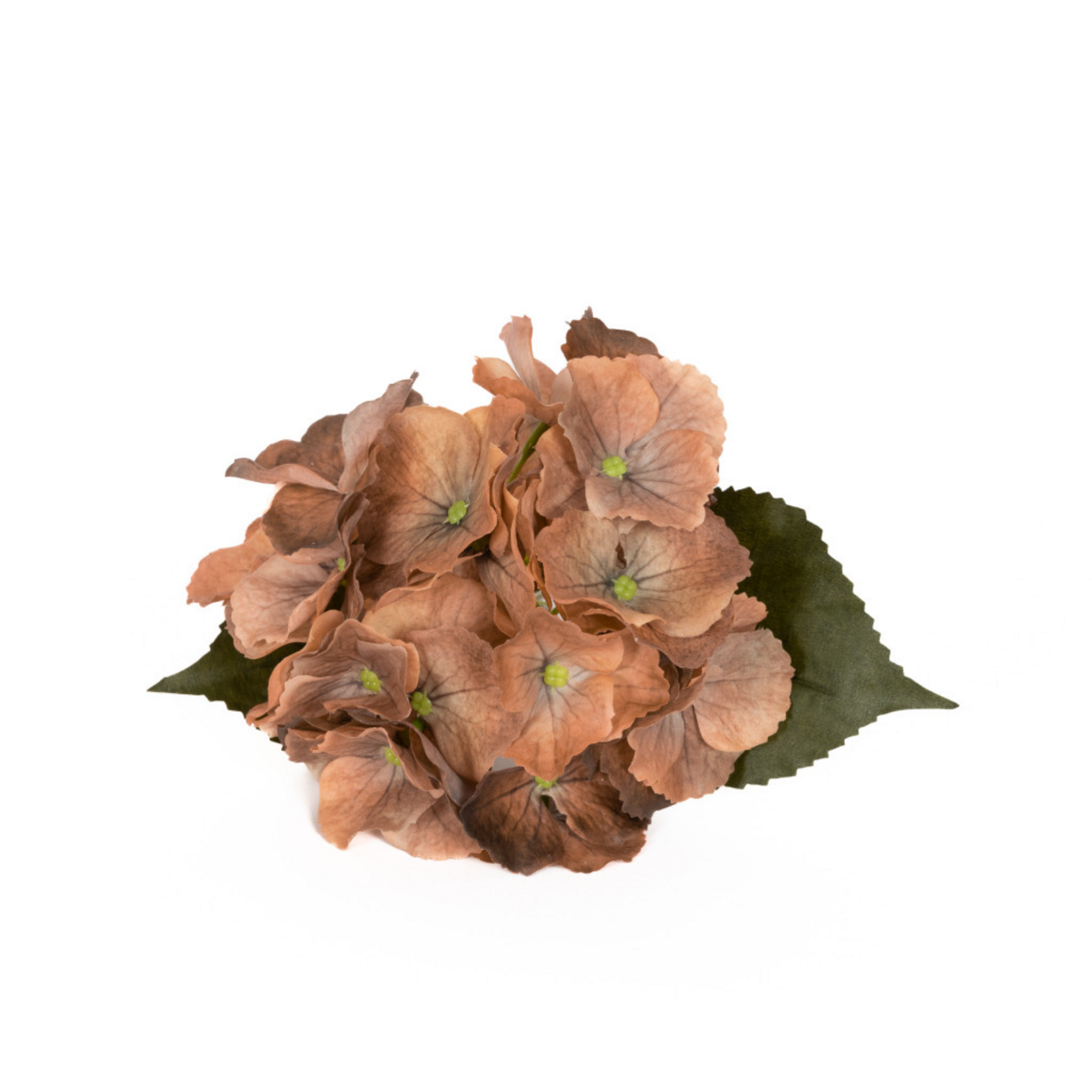 Real Touch Hydrangea - Gold Honey