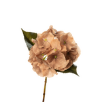 Real Touch Hydrangea - Dune