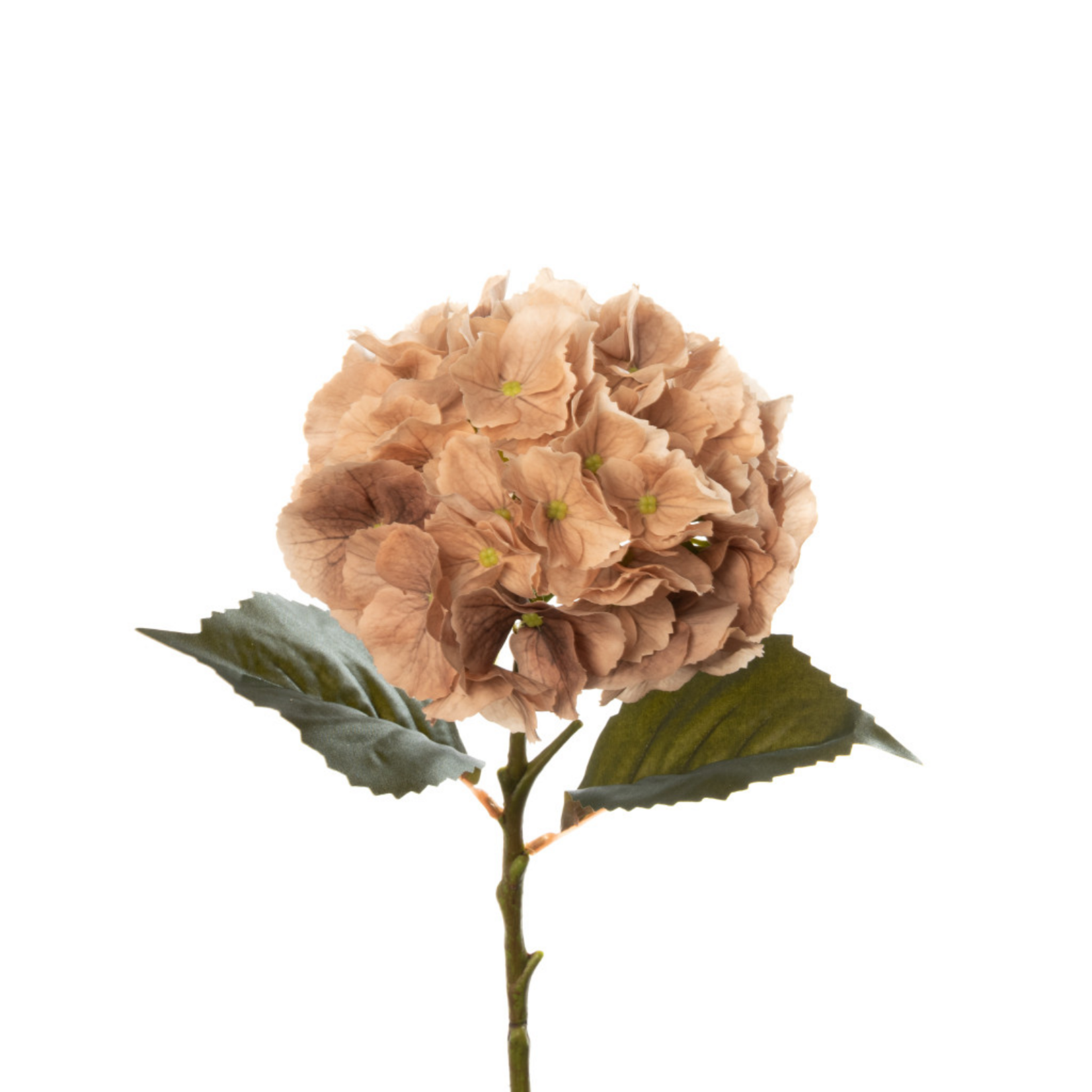 Real Touch Hydrangea - Dune