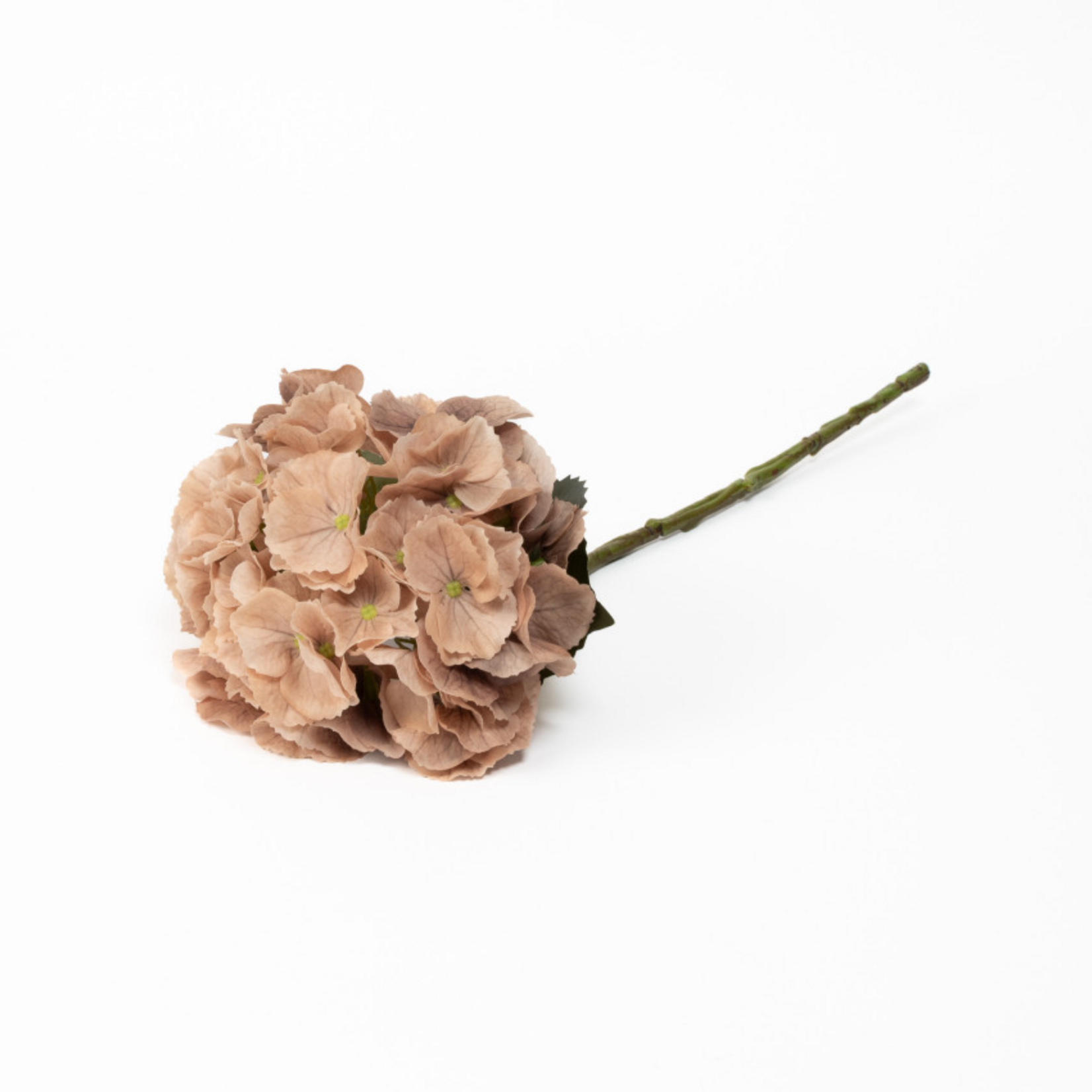 Real Touch Hydrangea - Dune