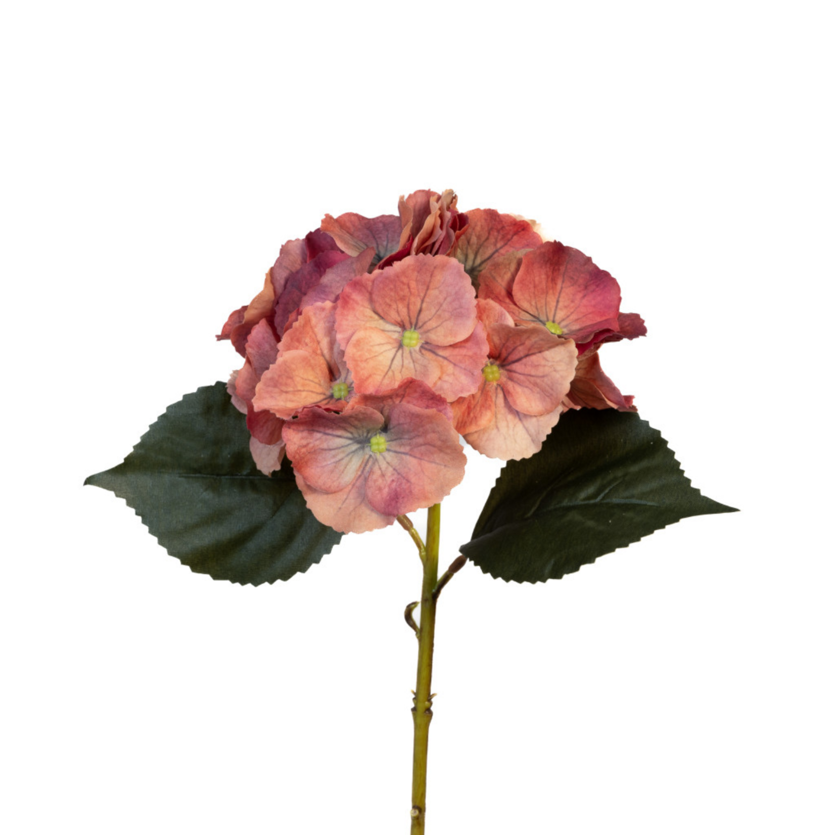 Real Touch Hydrangea - Terra Cotta