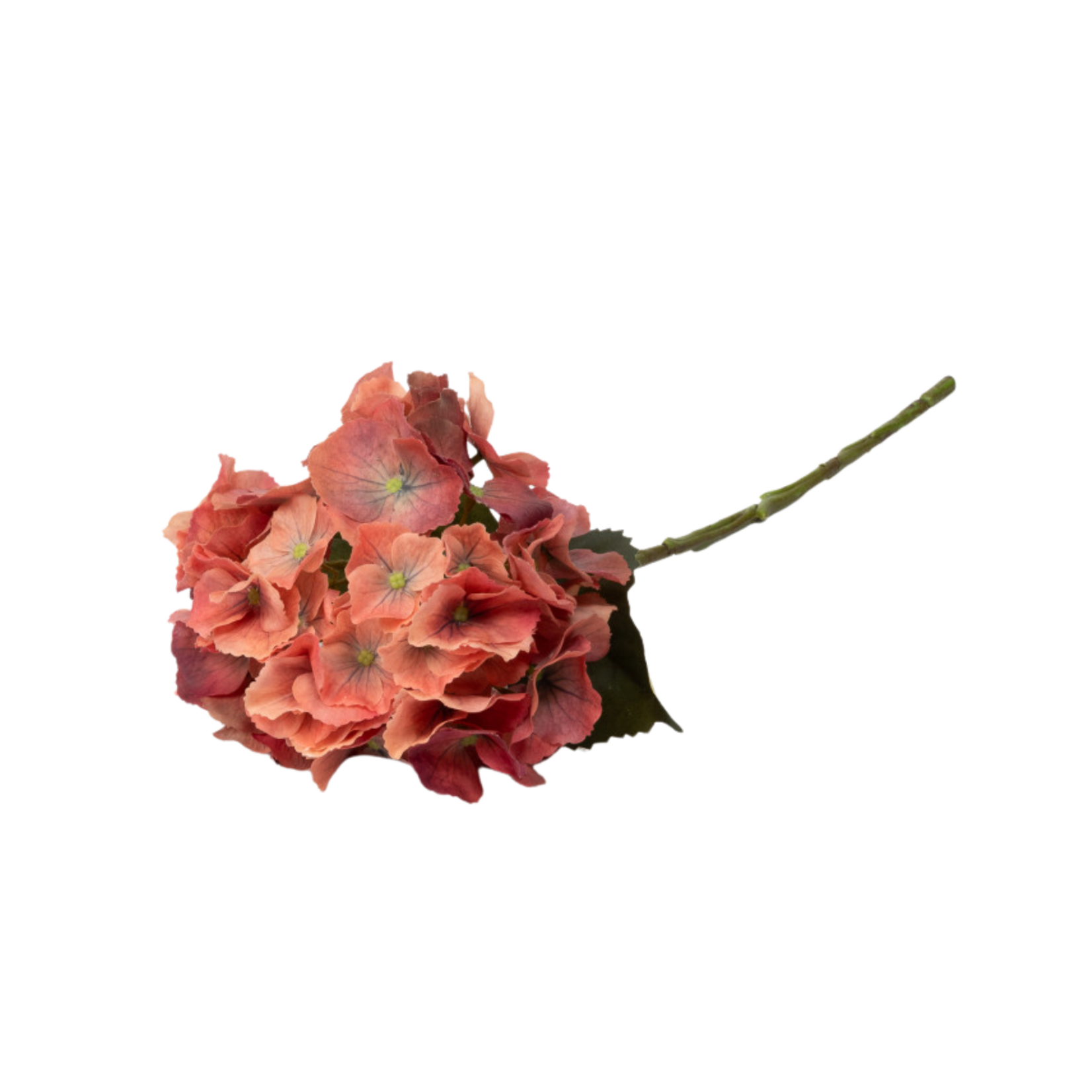 Real Touch Hydrangea - Terra Cotta