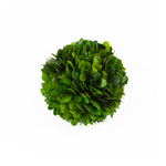 Boxwood Ball