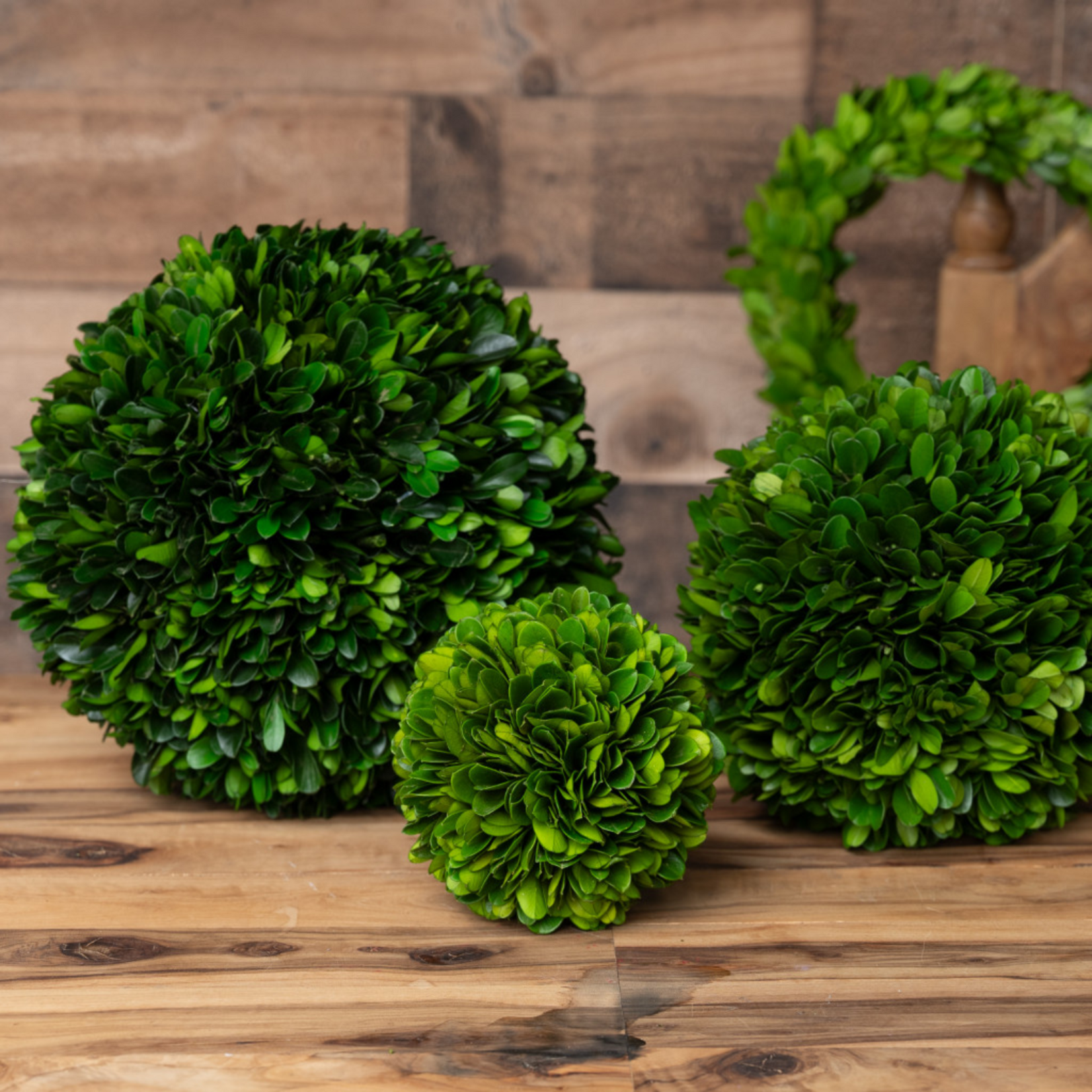 Boxwood Ball