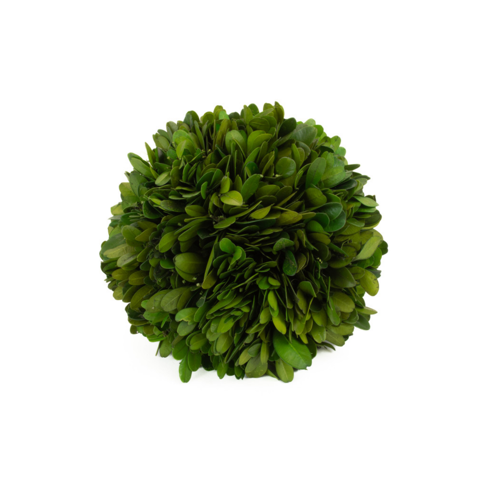 Boxwood Ball