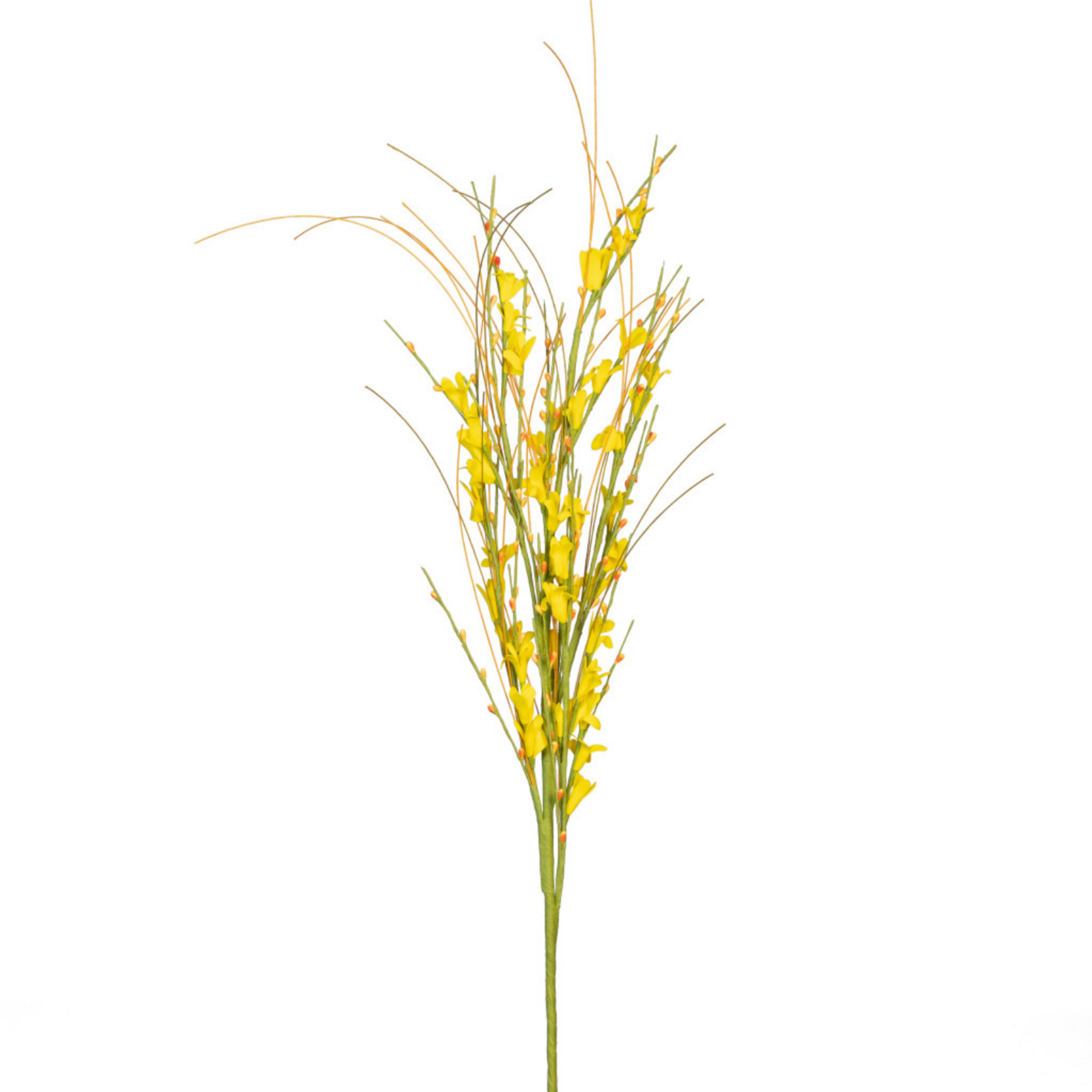 Golden Forsythia Spray