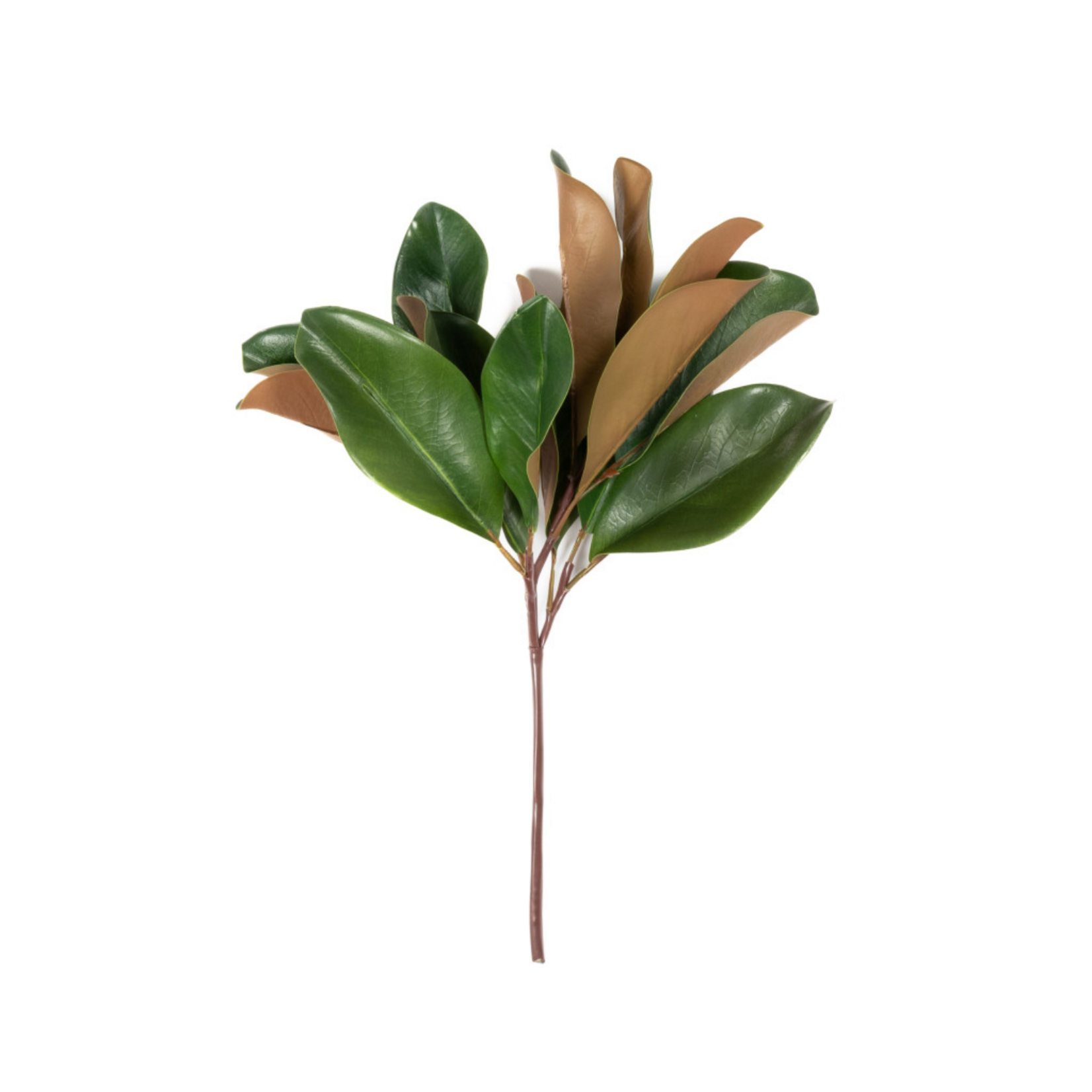 Magnolia Leaf Spray 16 inch