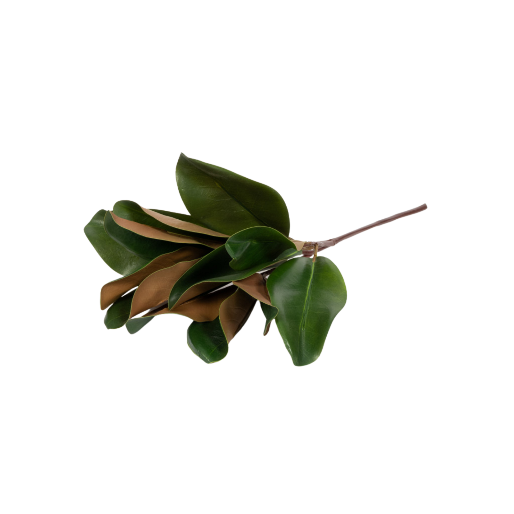 Magnolia Leaf Spray 16 inch