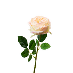 Real Touch English Rose - Blush Pink