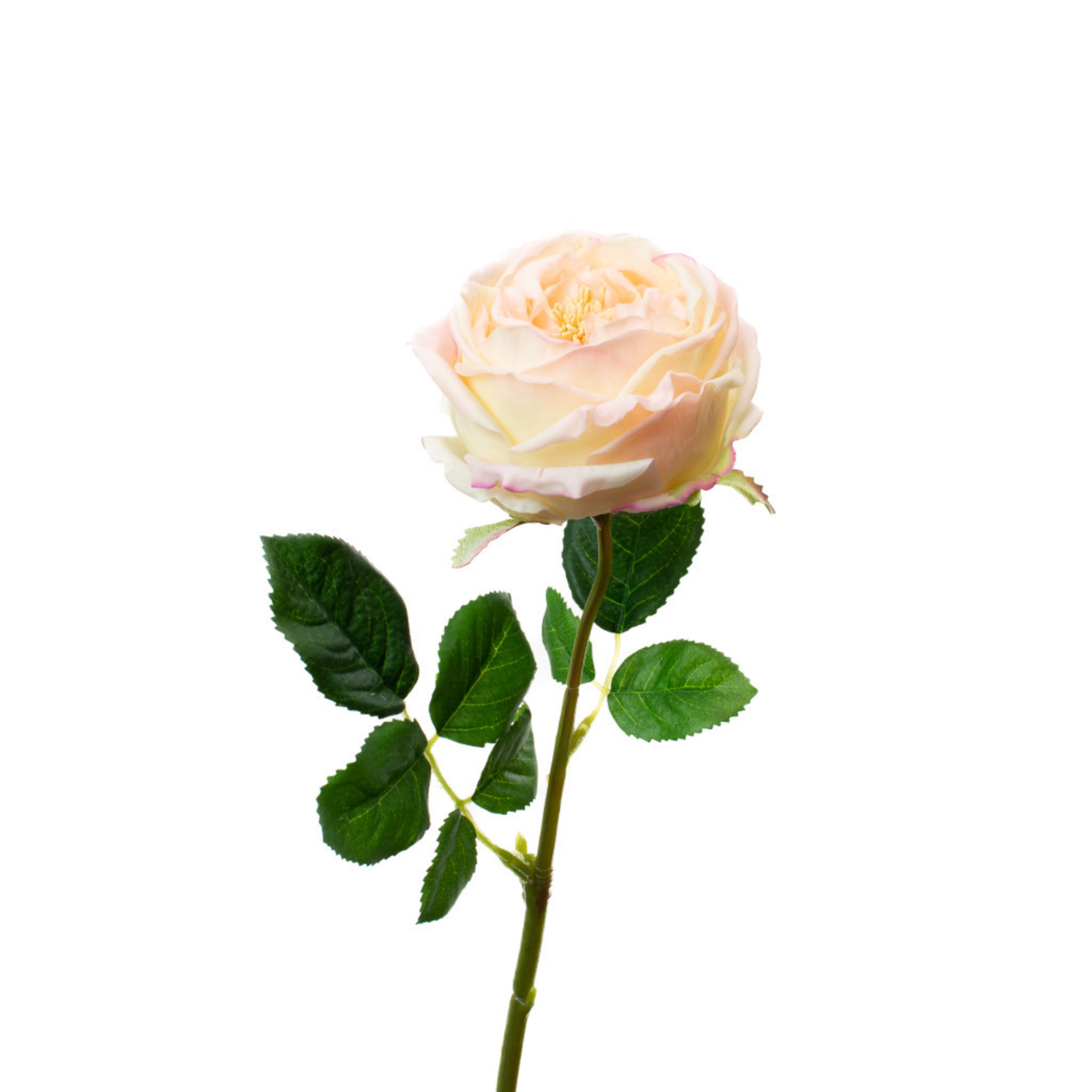 Real Touch English Rose - Blush Pink