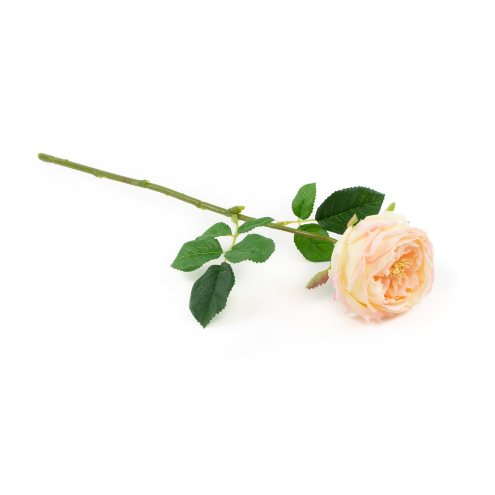 Real Touch English Rose - Blush Pink