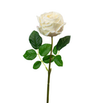 Real Touch English Rose - Champagne