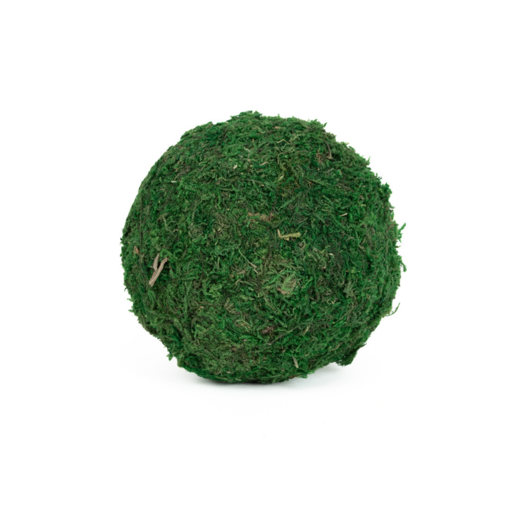 Sheet Moss Ball