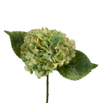 Hydrangea Pick - Light Green
