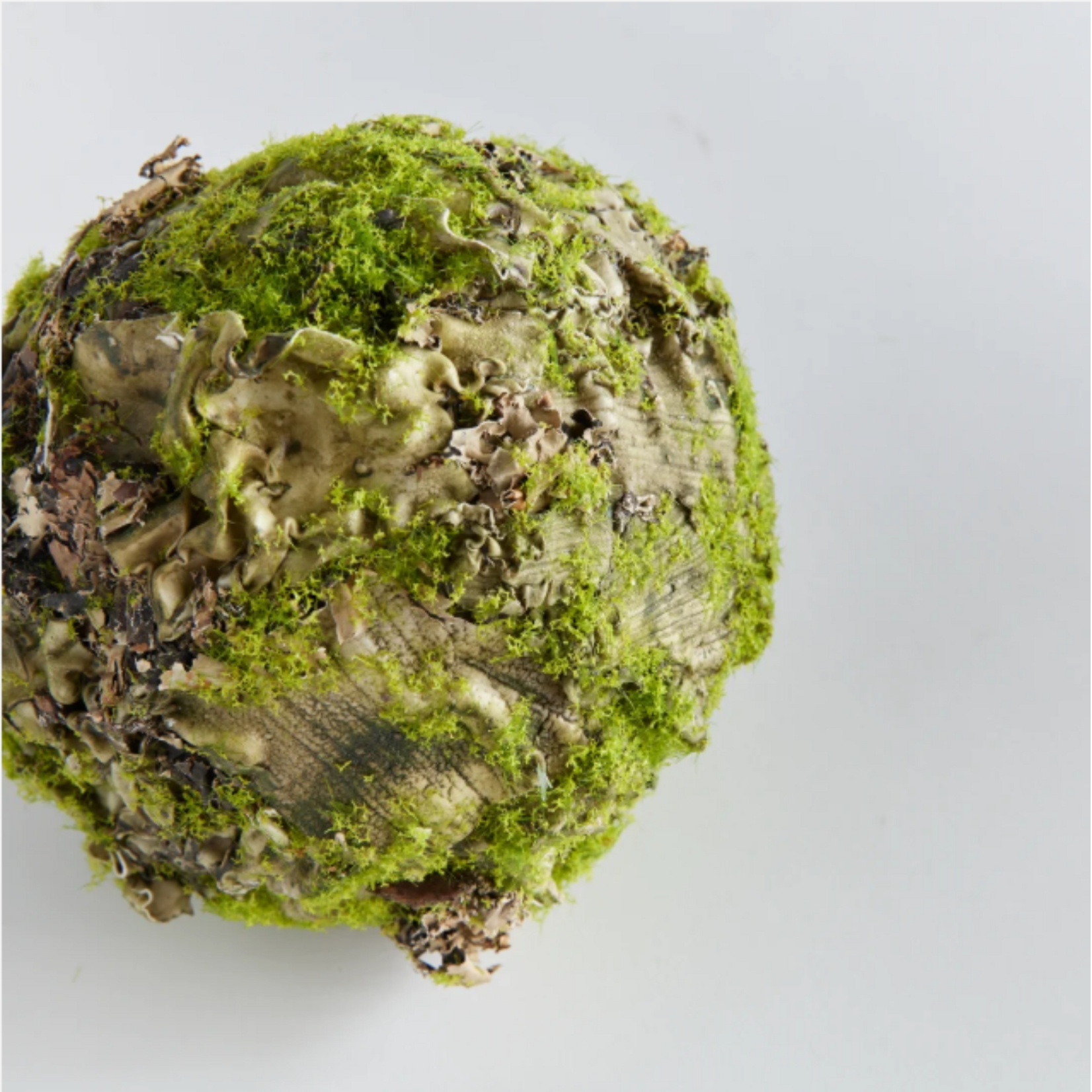 Mossy Lichen Orb