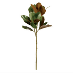 Grand Magnolia Leaf Stem