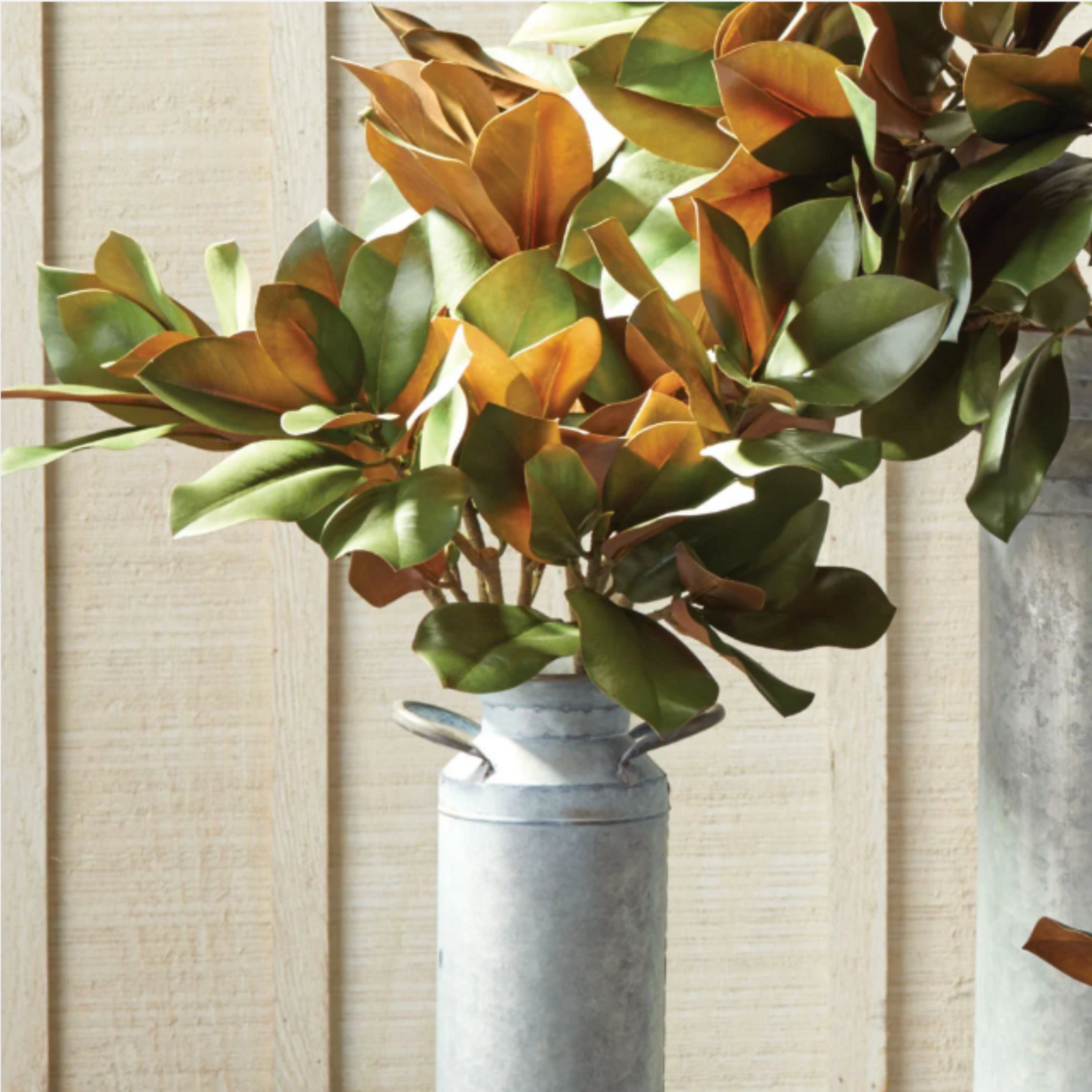 Grand Magnolia Leaf Stem