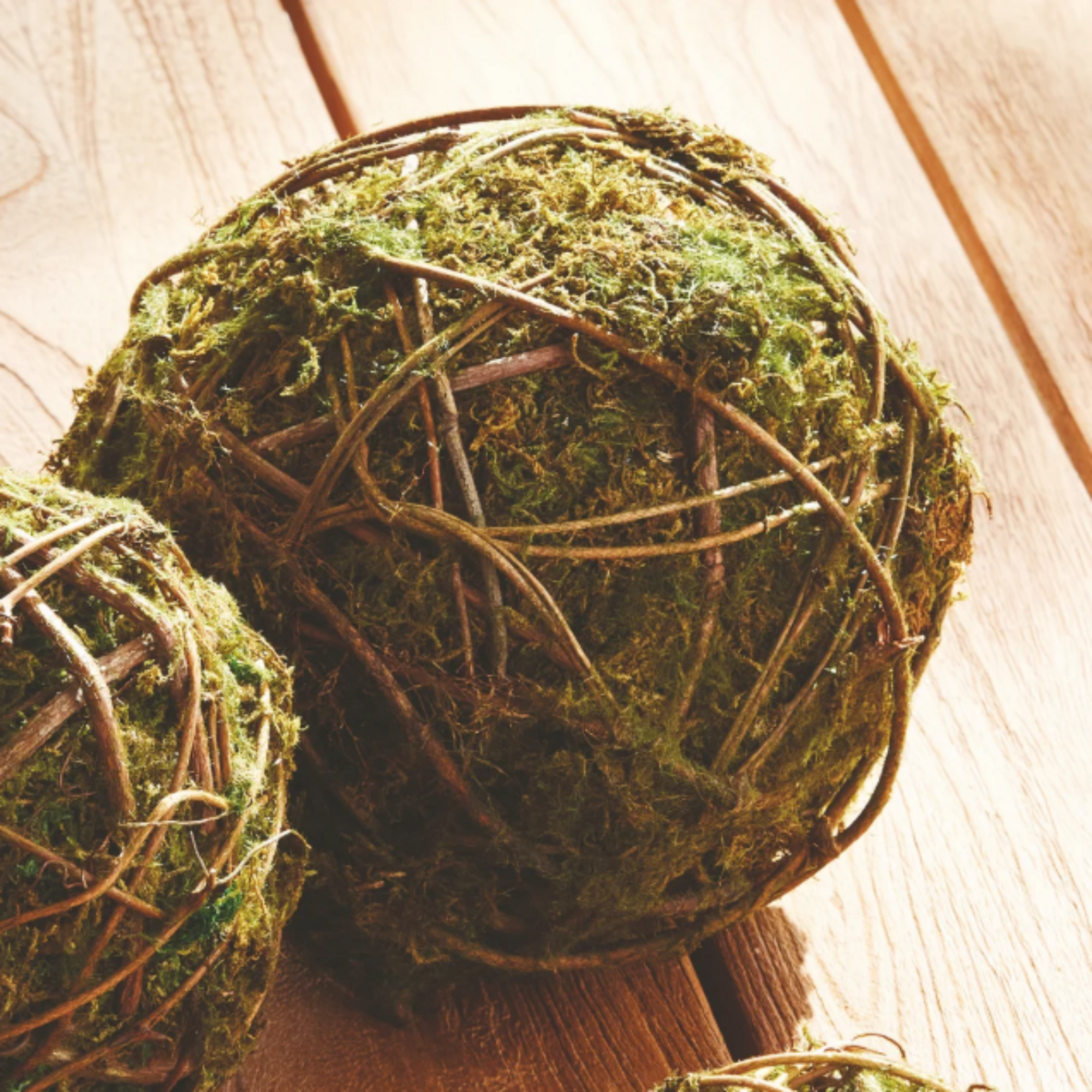 Mossy Vine Orb