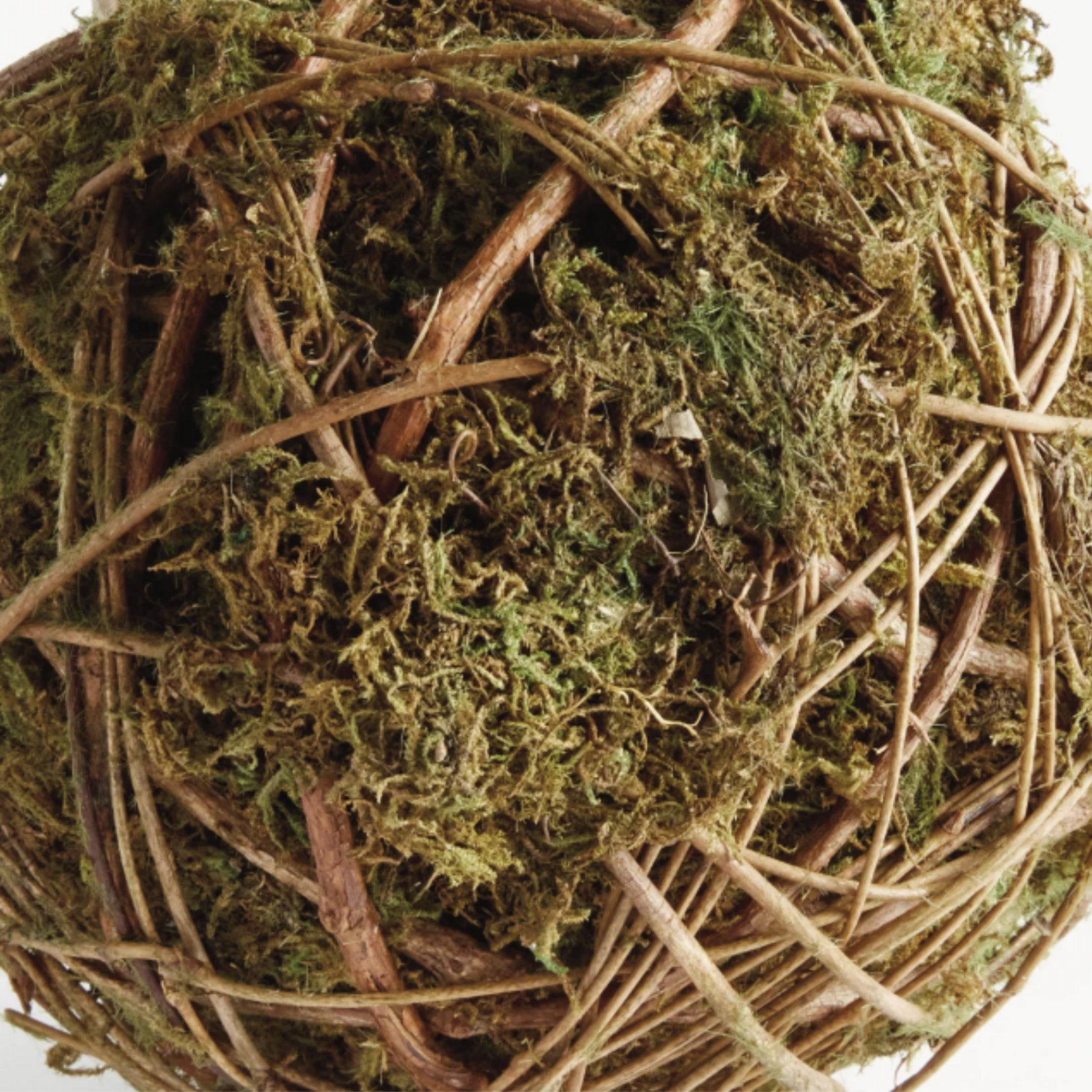 Mossy Vine Orb