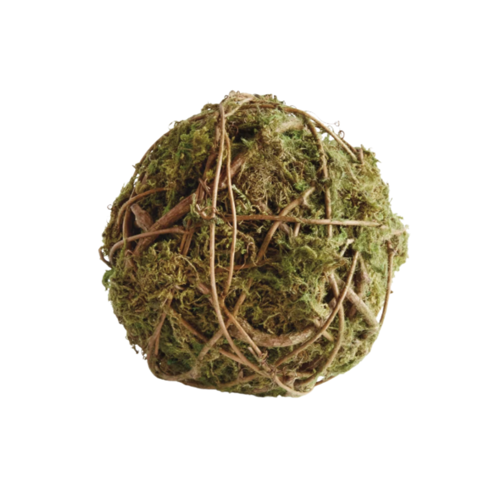 Mossy Vine Orb