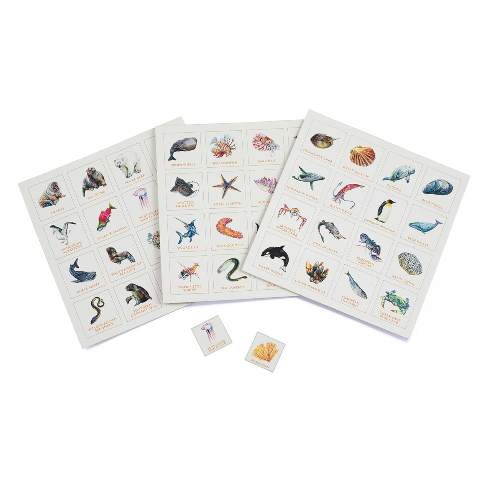 Ocean Bingo