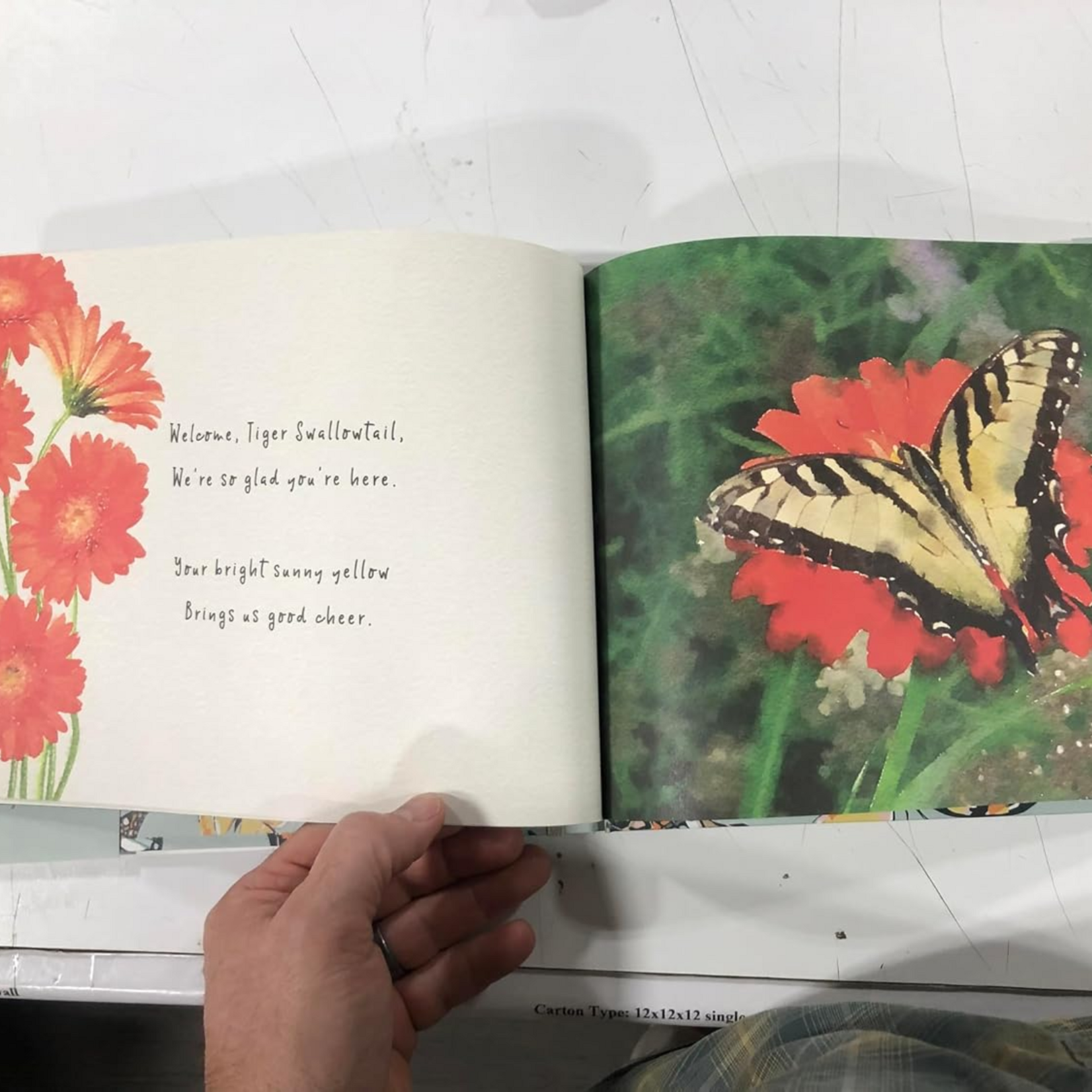 The Butterfly Ball