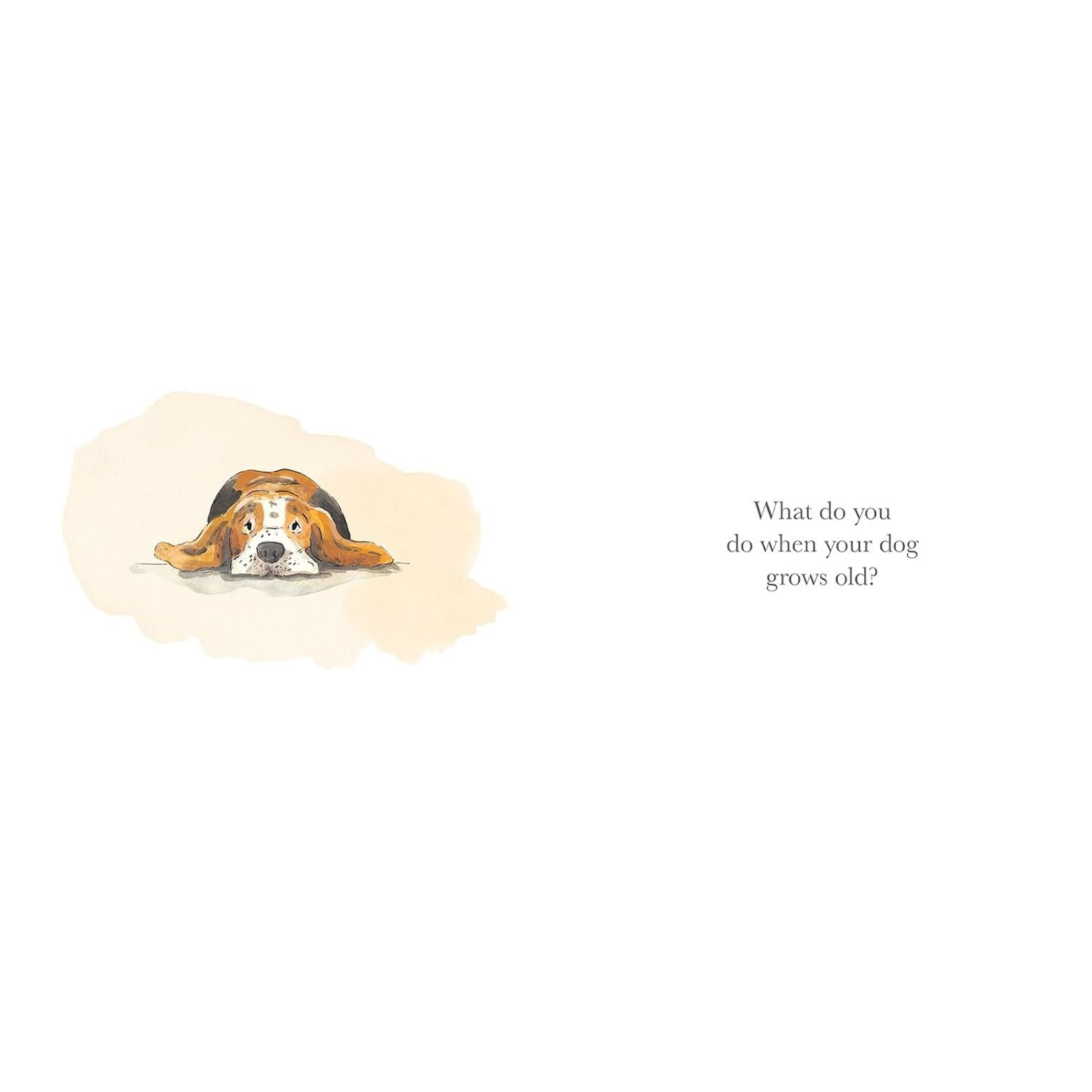What to Do When Your Dog Grows Old