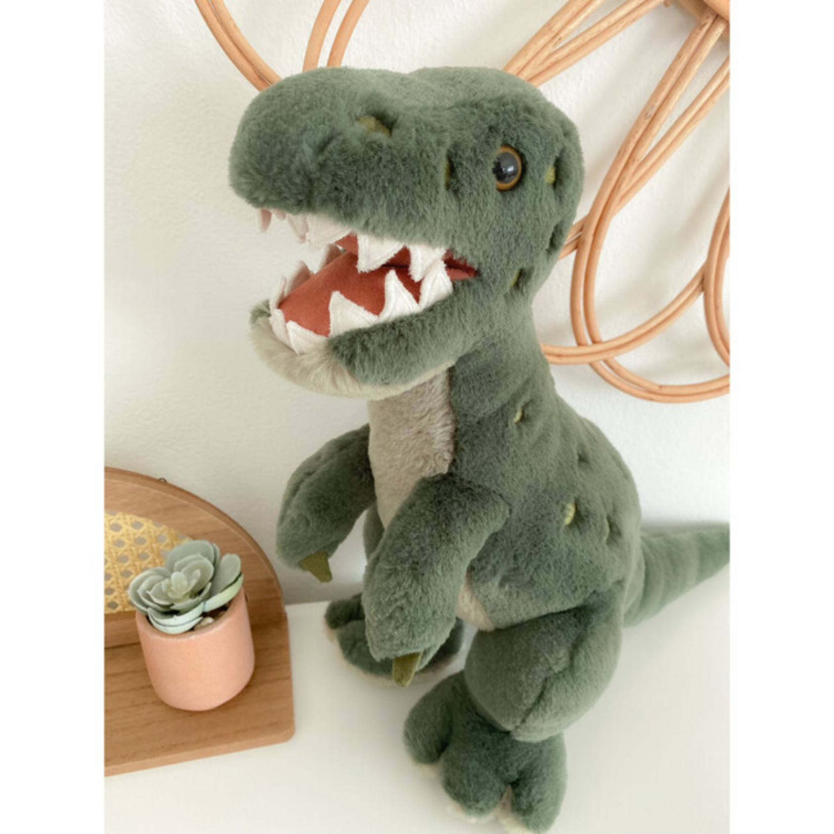 Bruno T- Rex