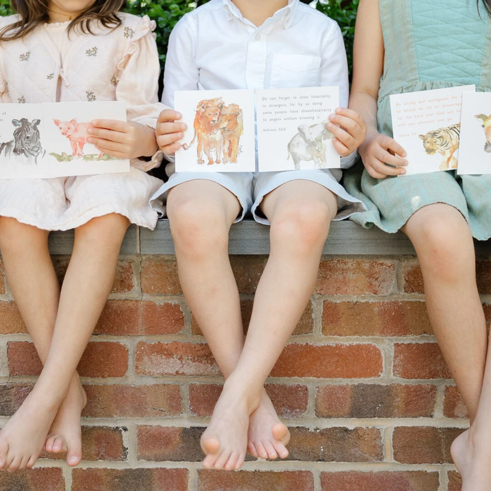Anne Neilson Children's Scripture Cards